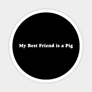 My Best Friend is a Pig Magnet